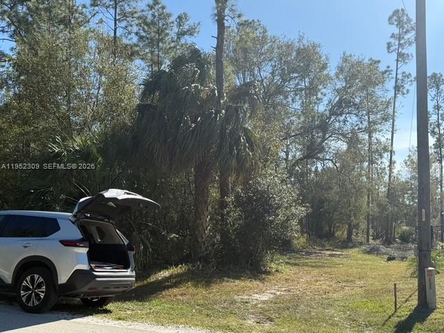 Lehigh Acres - Land