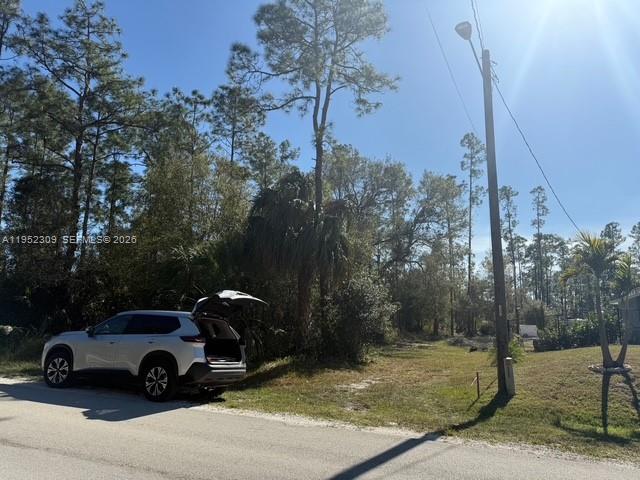 Lehigh Acres - Land