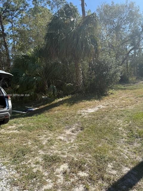 Lehigh Acres - Land