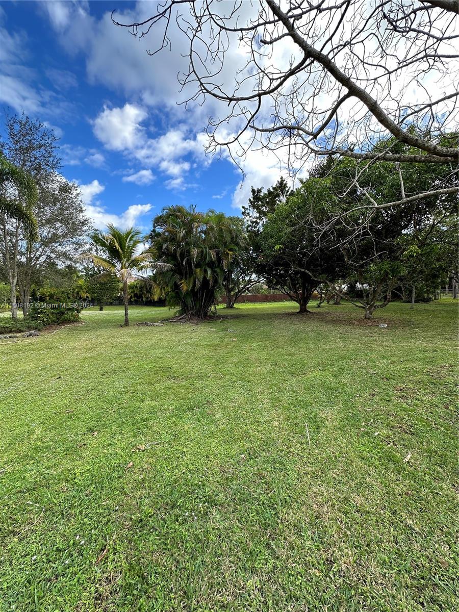 Pine Tree Estates - Residential