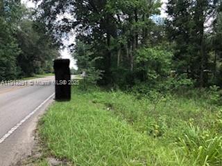 3 Wooded Acres. Discover the freedom to create your own private getaway on this beautiful 3-acre wooded parcel. Whether you envision building a custom home or bringing in a manufactured residence, the possibilities are wide open. Enjoy the privacy of nature with paved road access for convenience. This prime location places you near some of North Central Florida’s best amenities — just minutes from Ocala Jockey Club/World Equestrian Center, CHI University, Family Dollar and Historic Downtown Micanopy. Easy commutes to Gainesville and Ocala. Perfect for a peaceful homestead, investment, or recreational retreat. Bring your plans and make it yours!