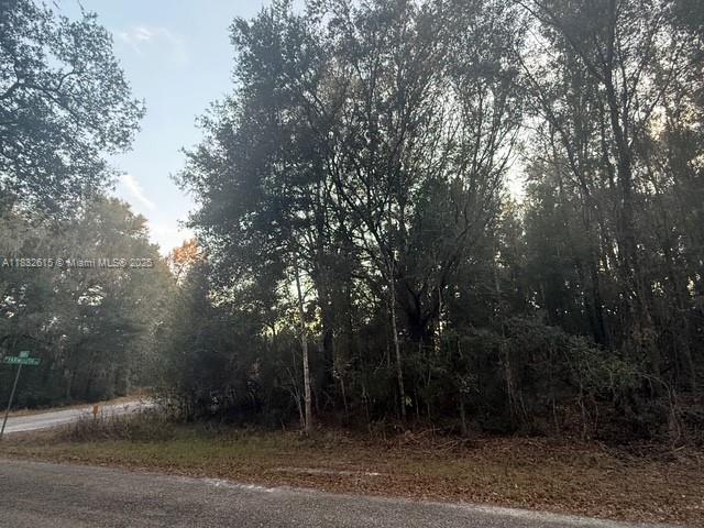 Citrus Springs - Land
