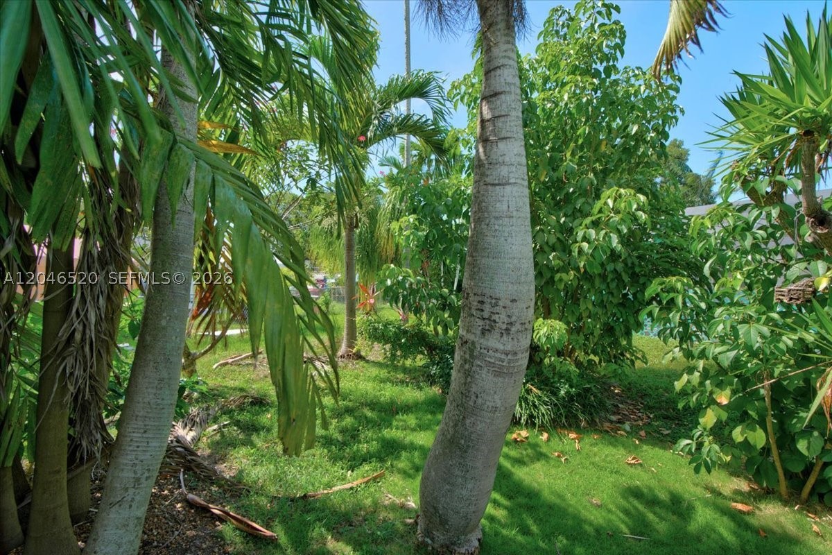 PALMETTO COUNTRY CLUB EST - Residential