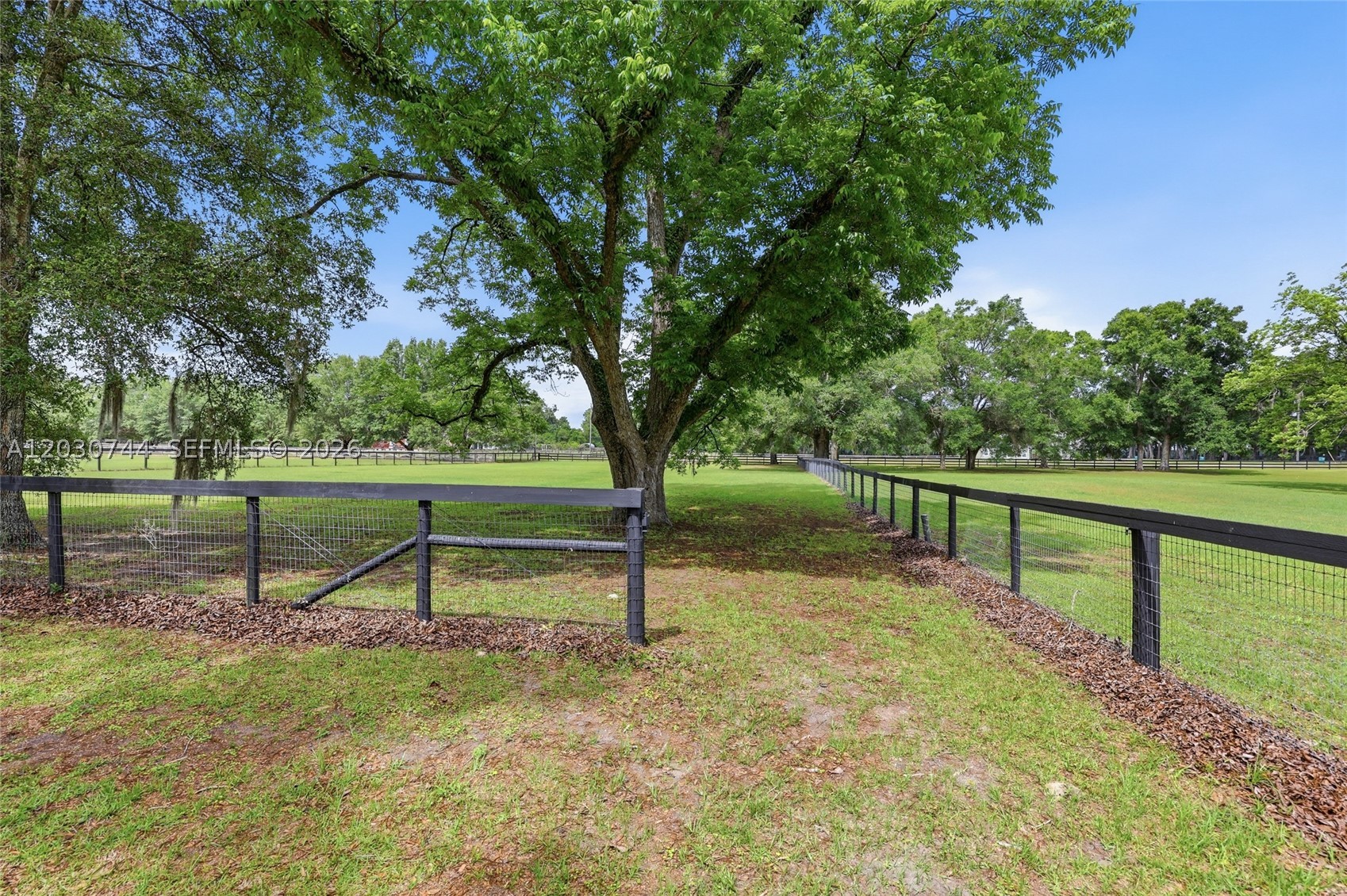 CINNAMON HILLS ESTATES PH1 - Residential