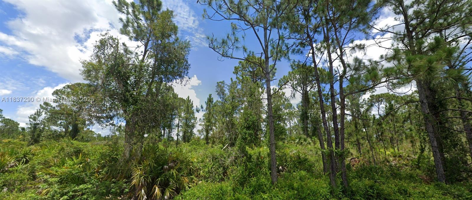FORT MYERS - Land