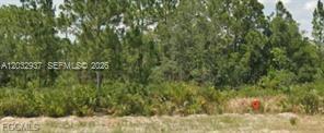 Vacant residential lot in ready for your new home or investment. Great opportunity to build in a convenient location with plenty of potential.