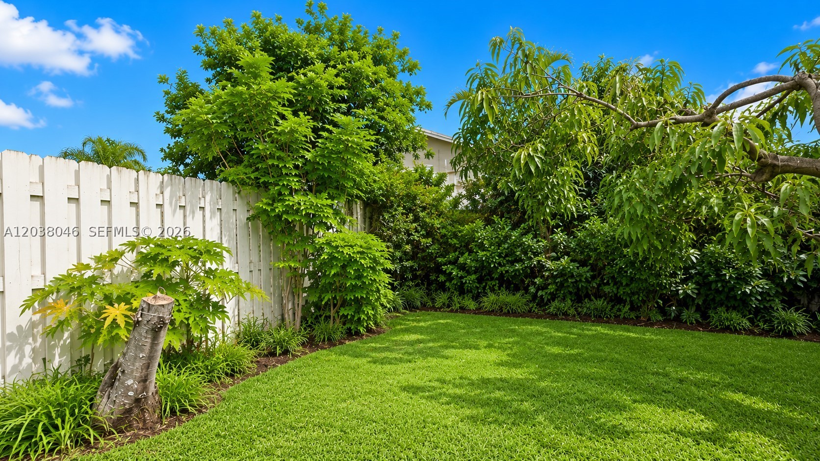 SHENANDOAH SECTION ONE - Residential