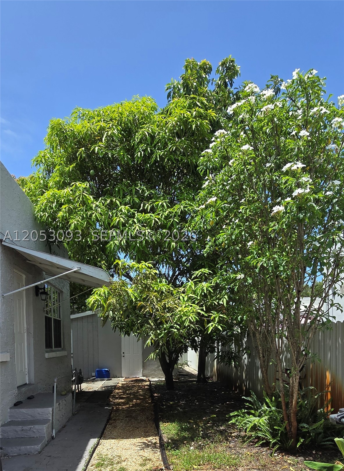 GRIFFING BISCAYNE PK ESTA - Residential Lease