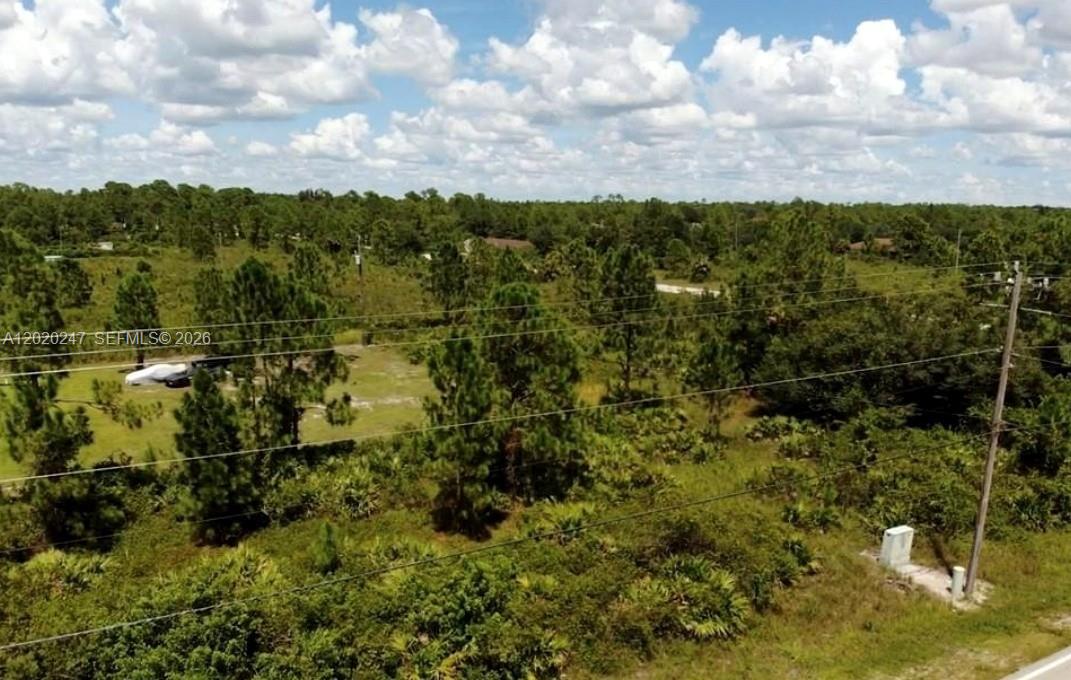 LEHIGH ACRES - Land