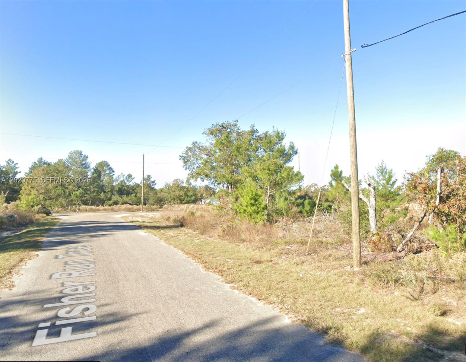 SILVER SPRINGS SHORES UNIT - Land