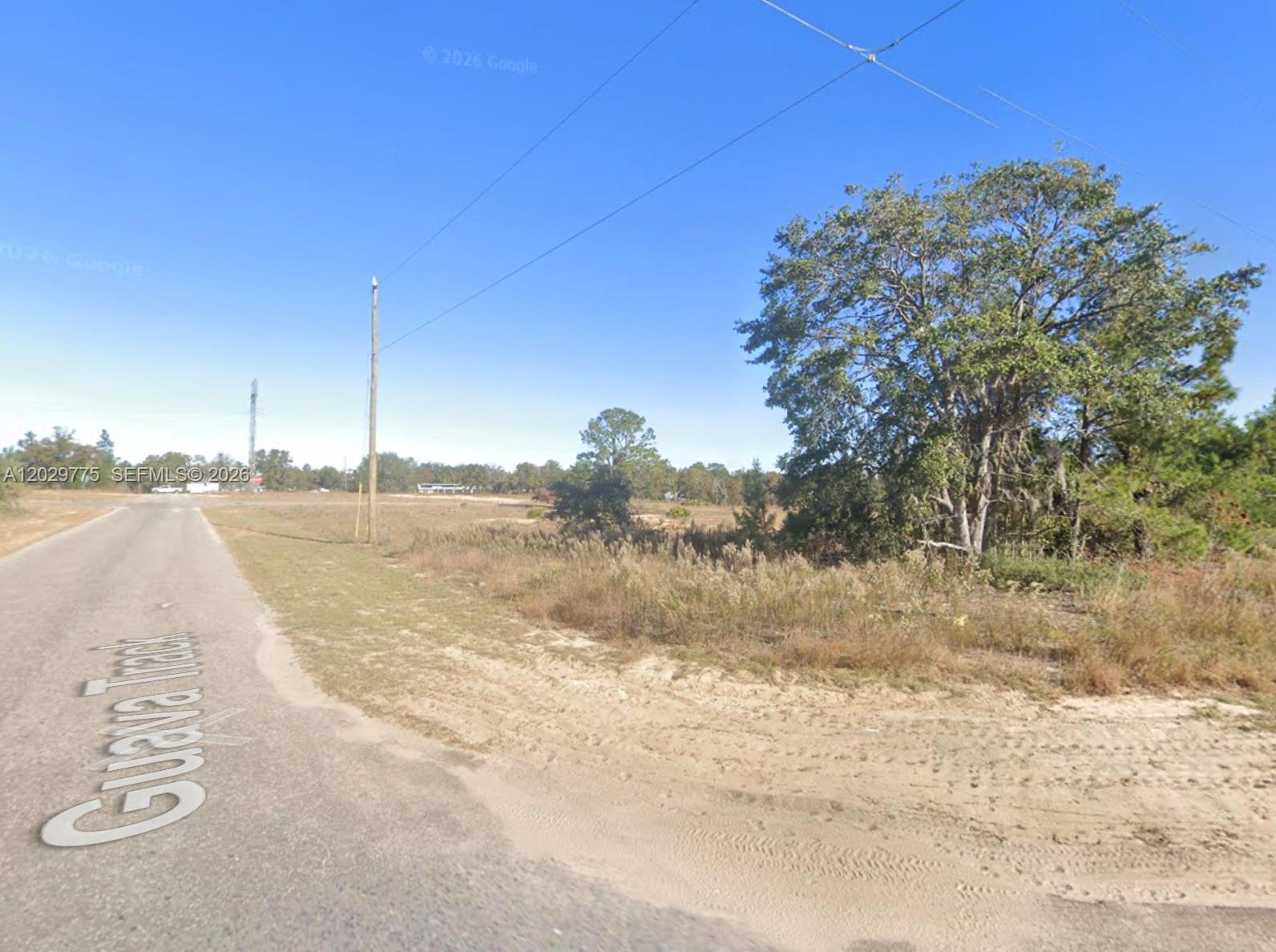 SILVER SPRINGS SHORES UNIT - Land
