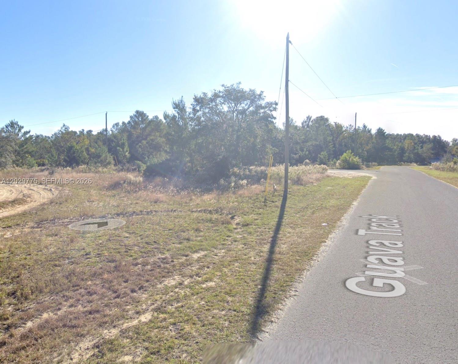 SILVER SPRINGS SHORES UNIT - Land