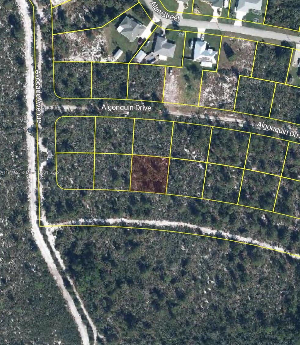 AVOCADO PARK SUB - Land