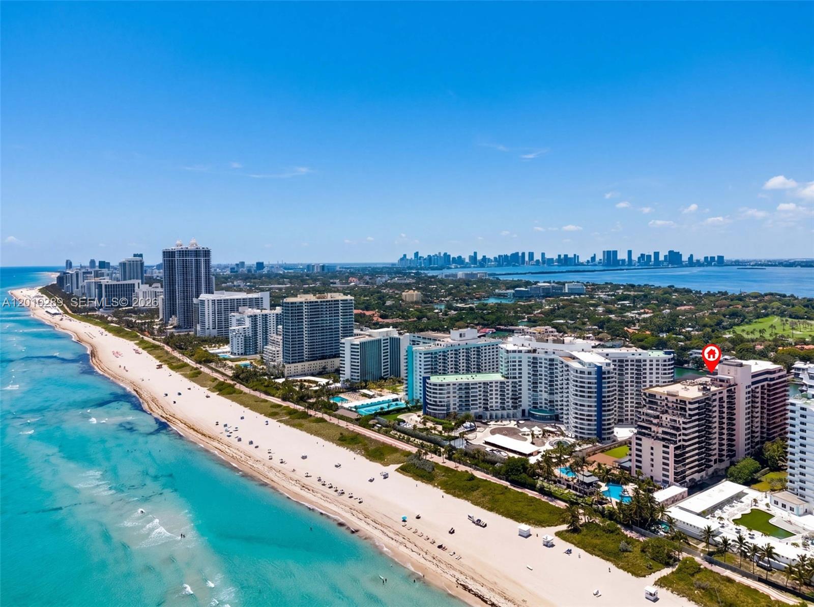 THE ALEXANDER CONDO - Residential