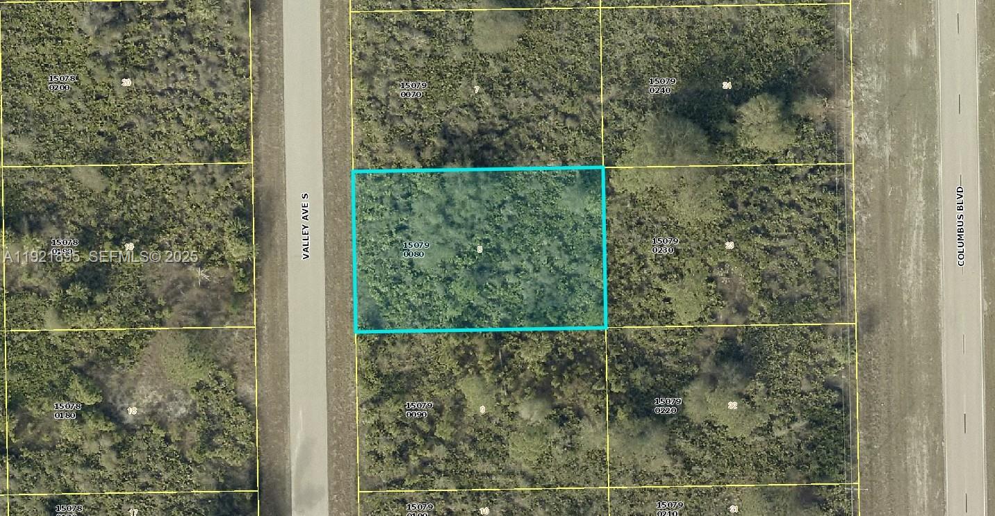 LEHIGH ACRES - Land