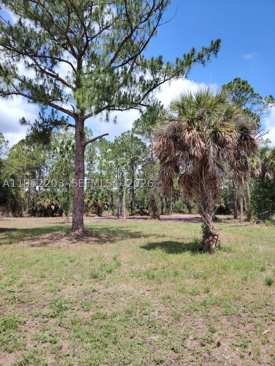 Build your desired home or homes on this beautiful and spacious CORNER lot in the desired Montura Ranches, minutes from Lake Okeechobee and close to Ft. Myers, Cape Coral and the Gulf of America.  Seller has cleared the land and made it ready to build.