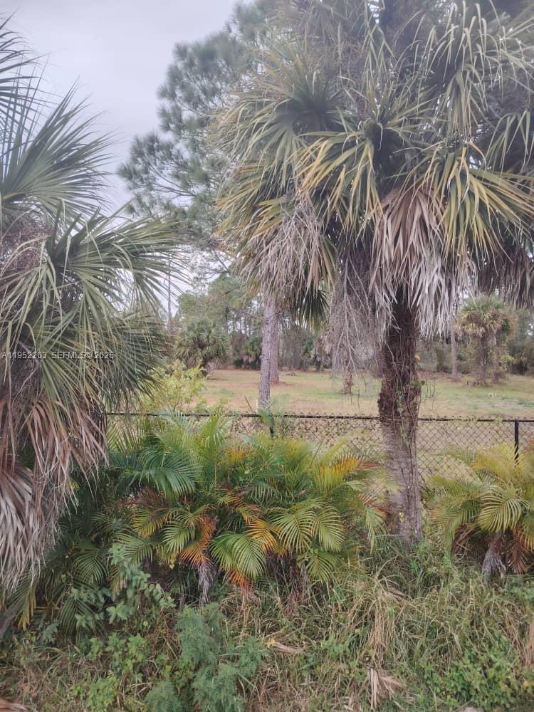 MONTURA RANCH - Land