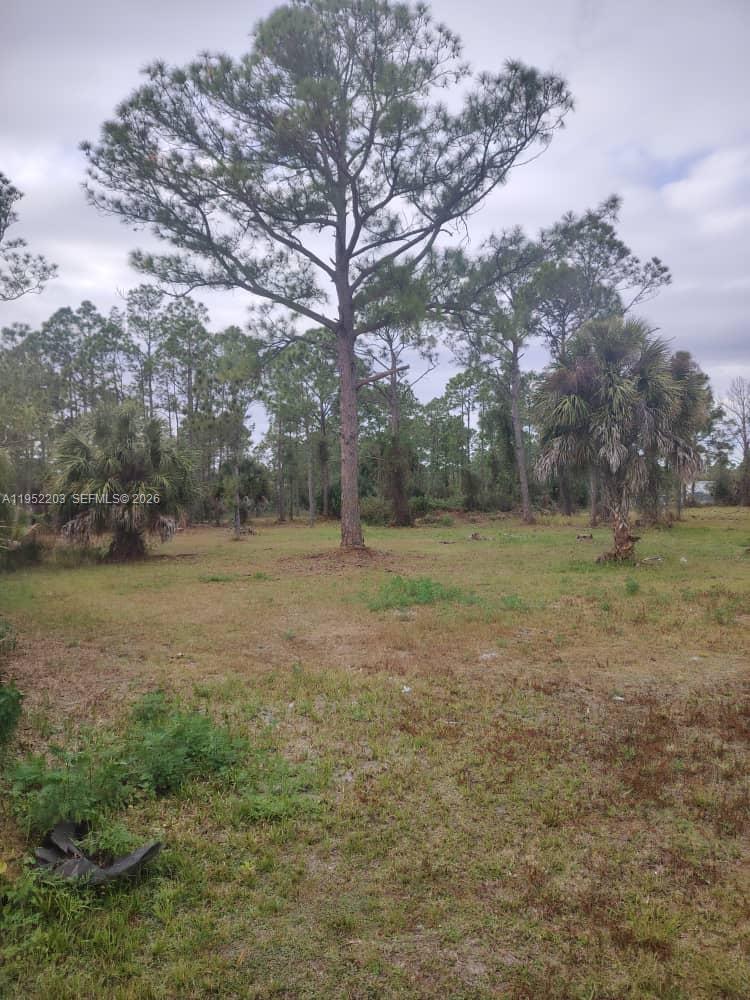 MONTURA RANCH - Land