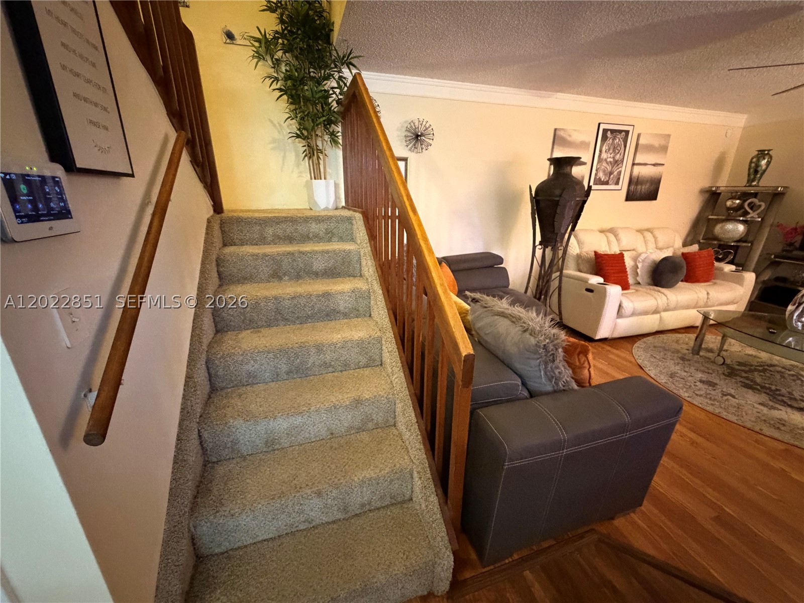 SPRINGDALE HOMES - Residential