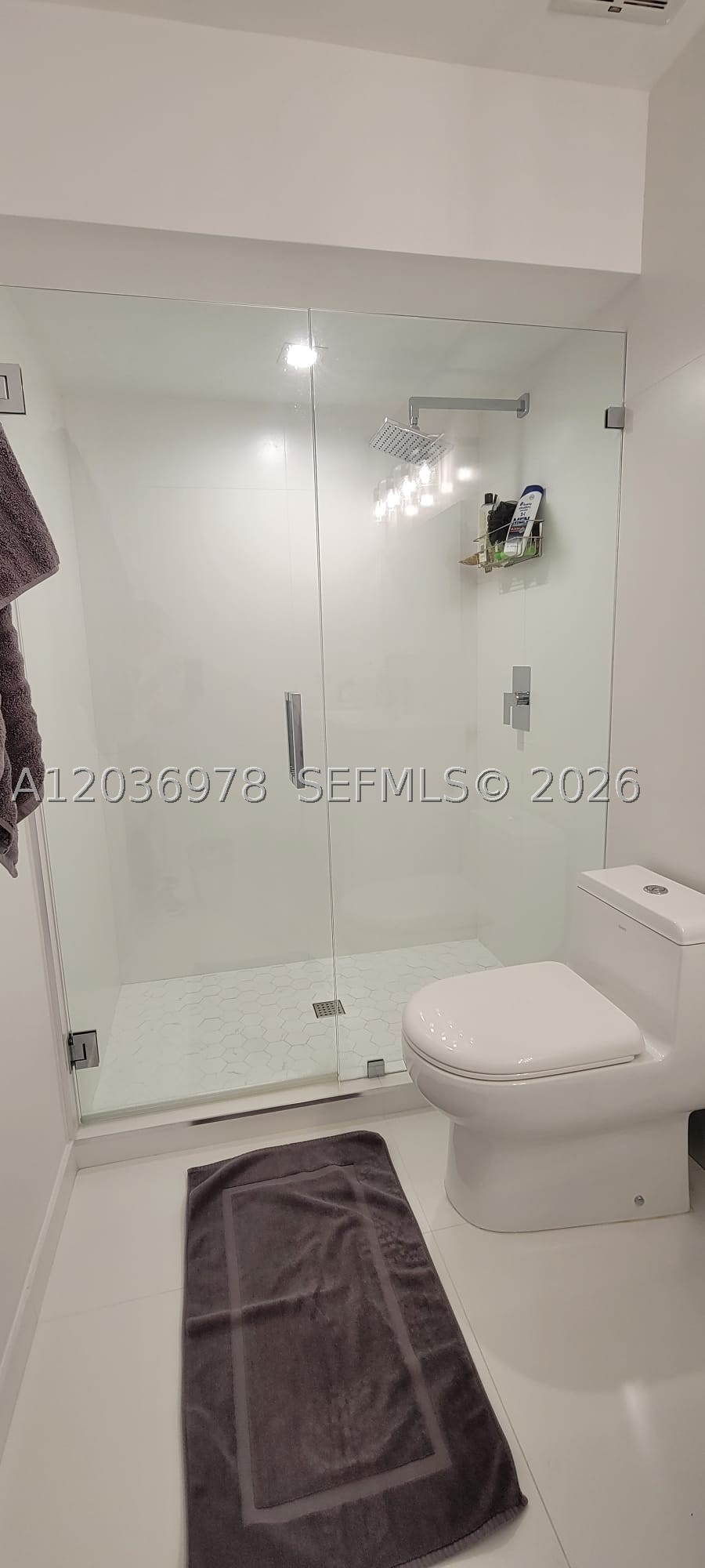HILLTOP CONDO - Residential Lease