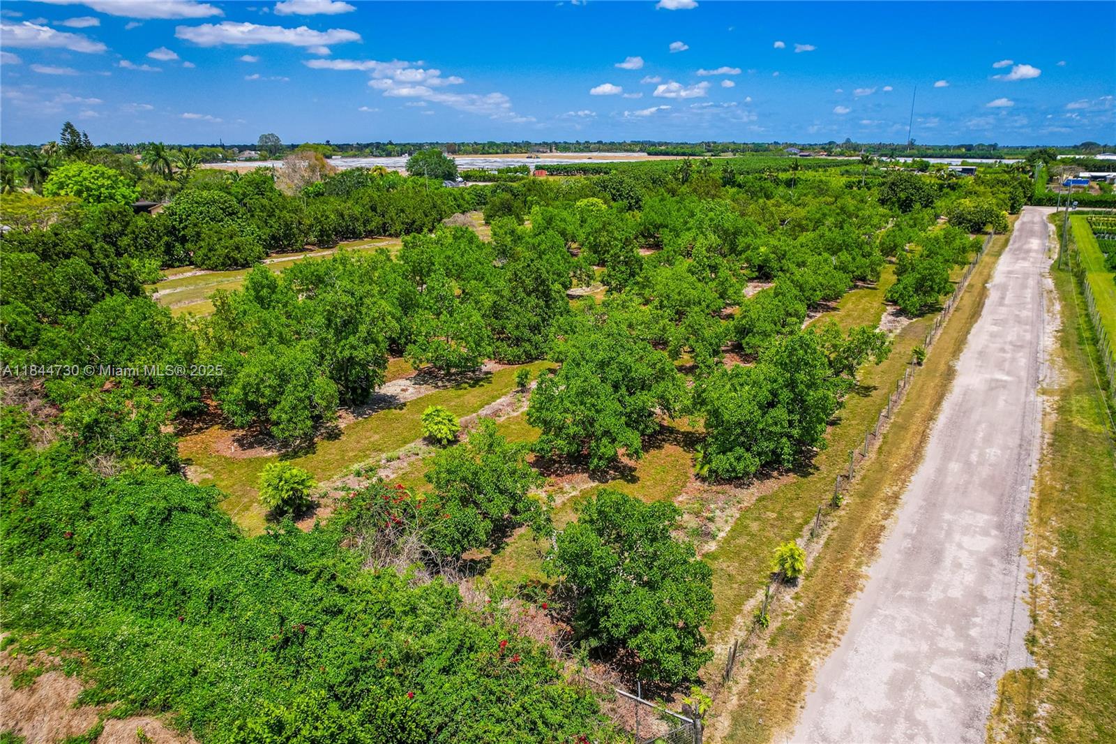 This beautiful 2.5 acre lot is ideal for anyone looking for a slice of paradise. This lot is a perfect place to build your dream home, have a gentleman's farm or use it as a weekend family escape from city life. The lot comes with a county buildable letter ready and in hand and features producing avocado trees, fencing and easy FPL access. The neighboring 2.5 acre lot is also for sale and comes with a buildable letter, folio# 30-6829-000-0462.