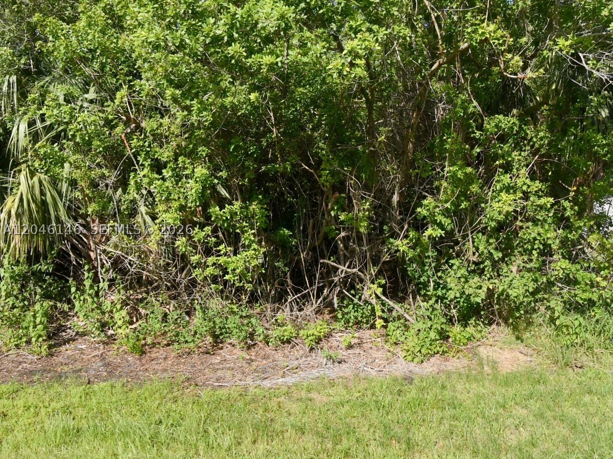 PORT ST LUCIE SECTION 19 - Land