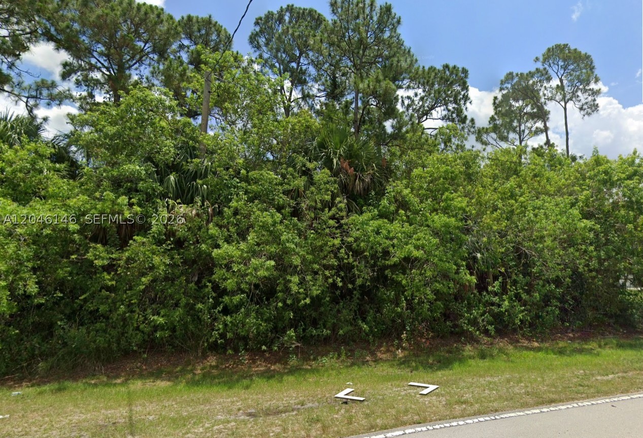 PORT ST LUCIE SECTION 19 - Land
