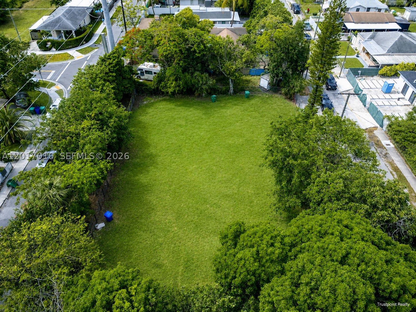 BUENA VISTA PARK - Land