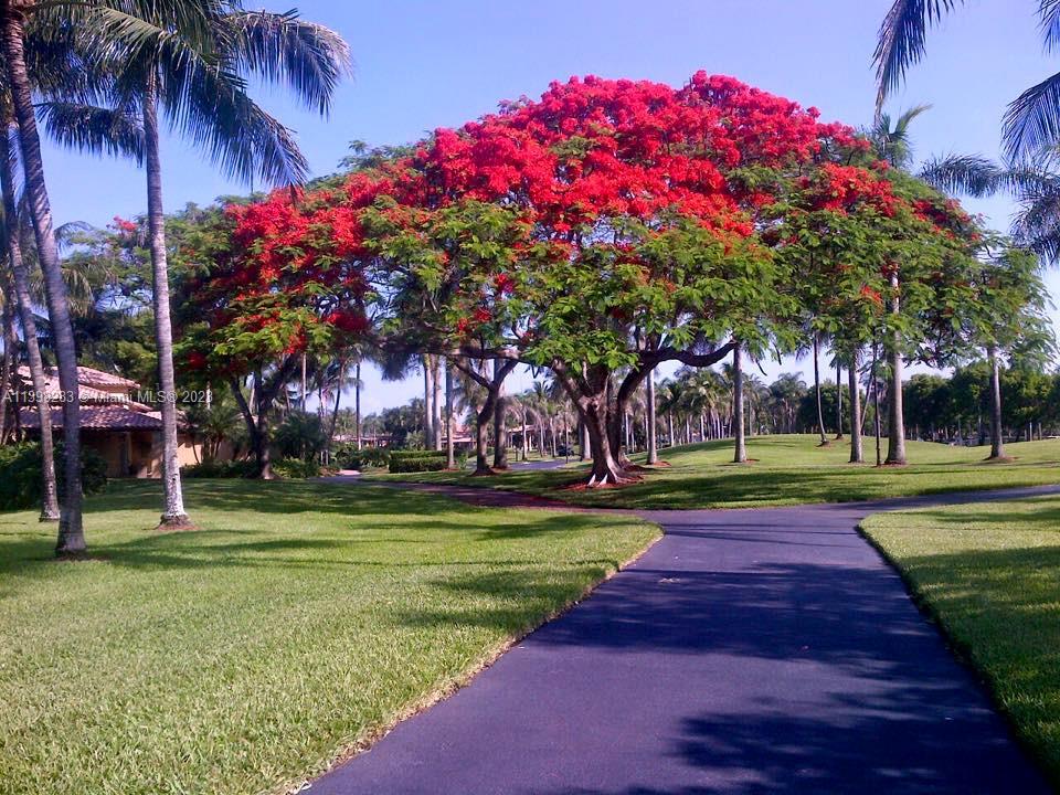 DORAL ISLES MARTINIQUE - Residential