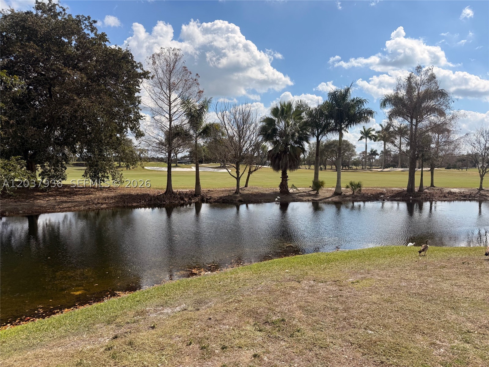 ISLES AT LAGO MAR CONDO - Residential