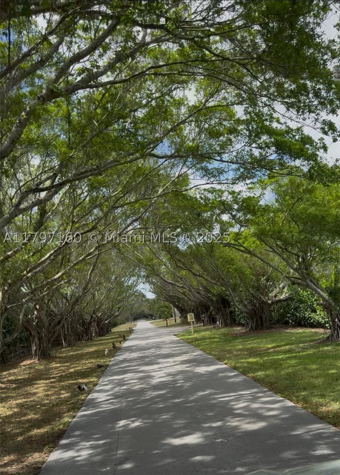 PALM BEACH FARMS CO 3 - Land