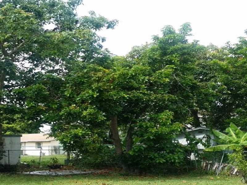 RICHMOND MEADOWS - Residential Lease
