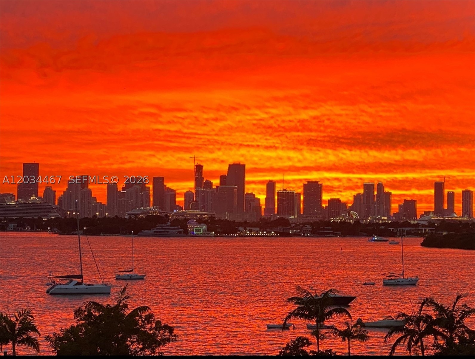 FLAMINGO SOUTH BEACH I CO - Residential Lease
