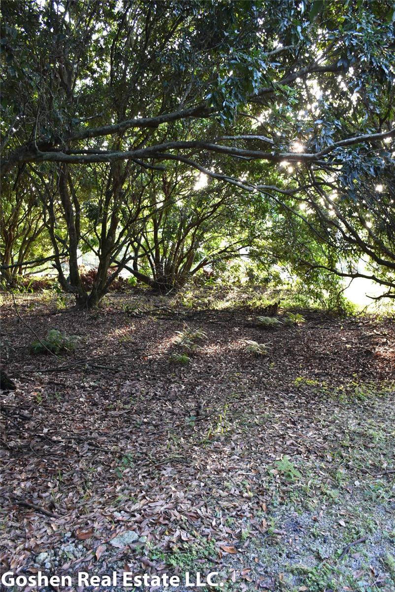 LYCHEE WOODS PLAT - Land