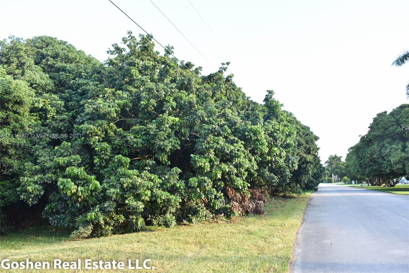 LYCHEE WOODS PLAT - Land