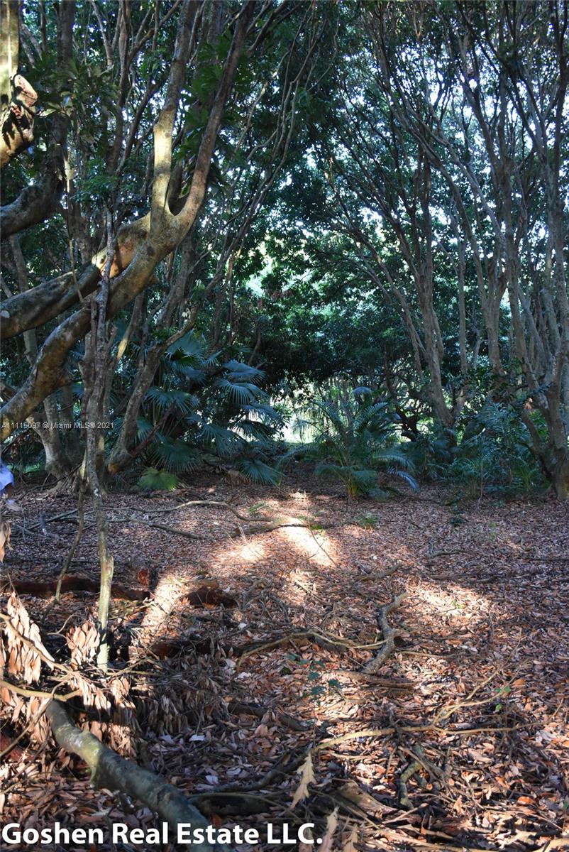 LYCHEE WOODS PLAT - Land