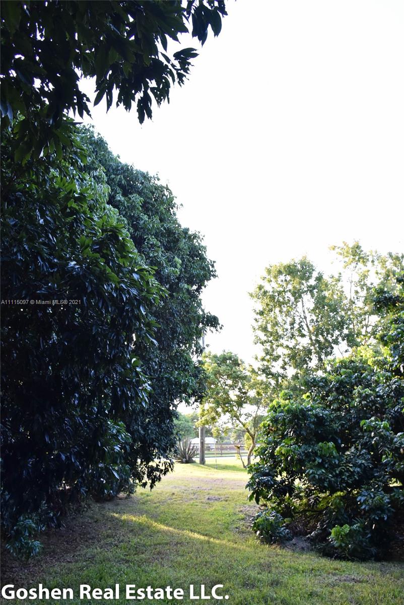 LYCHEE WOODS PLAT - Land