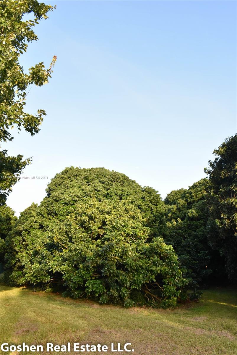 LYCHEE WOODS PLAT - Land