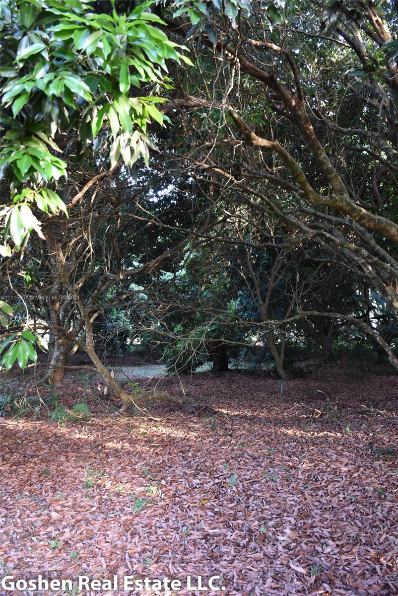 LYCHEE WOODS PLAT - Land