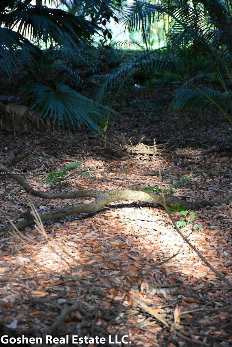 LYCHEE WOODS PLAT - Land