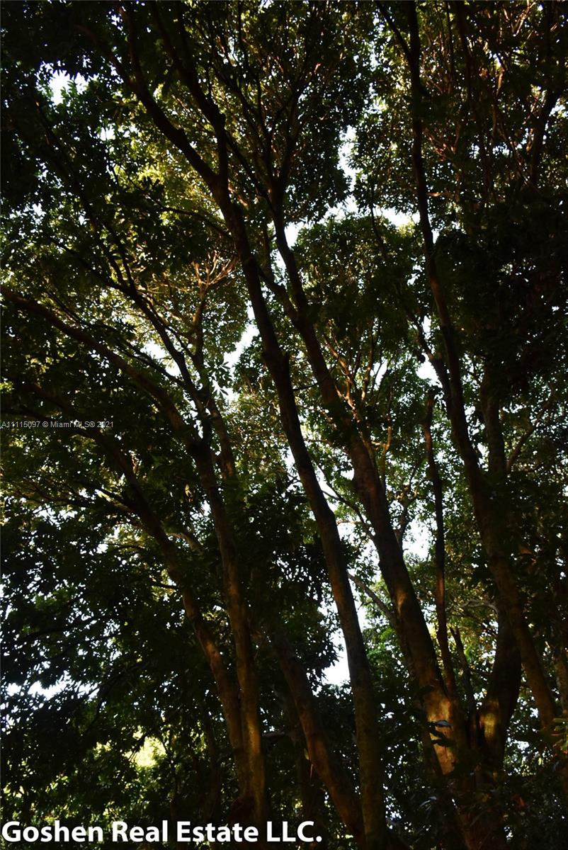 LYCHEE WOODS PLAT - Land