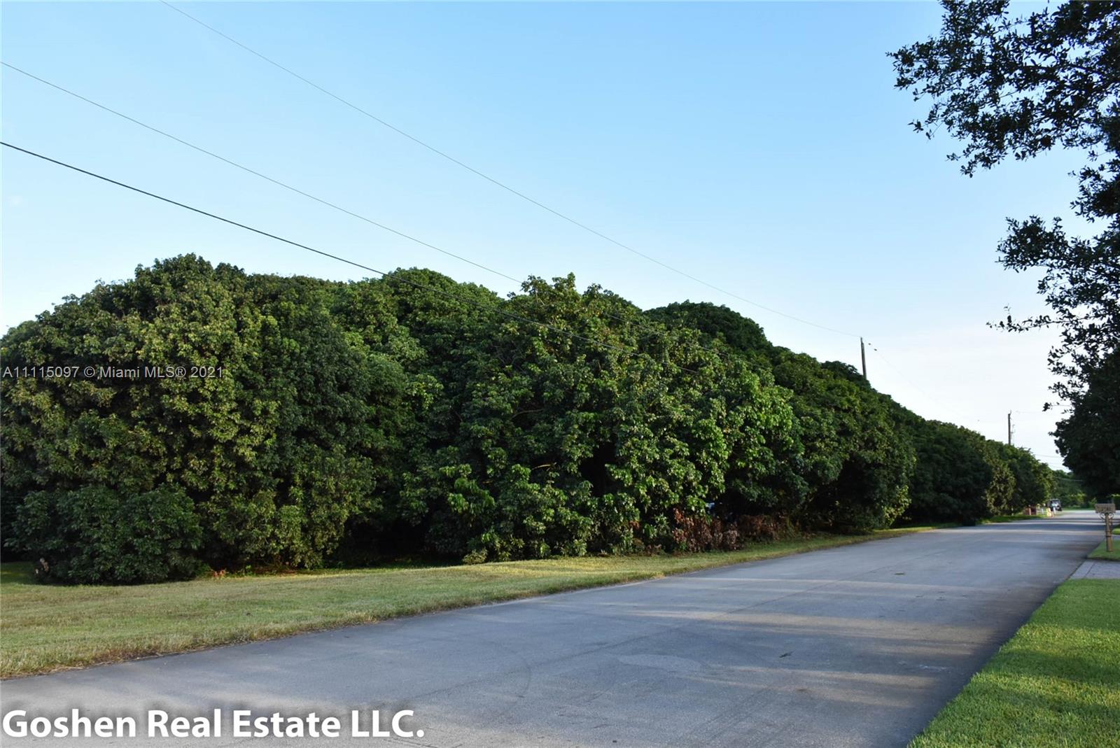 LYCHEE WOODS PLAT - Land