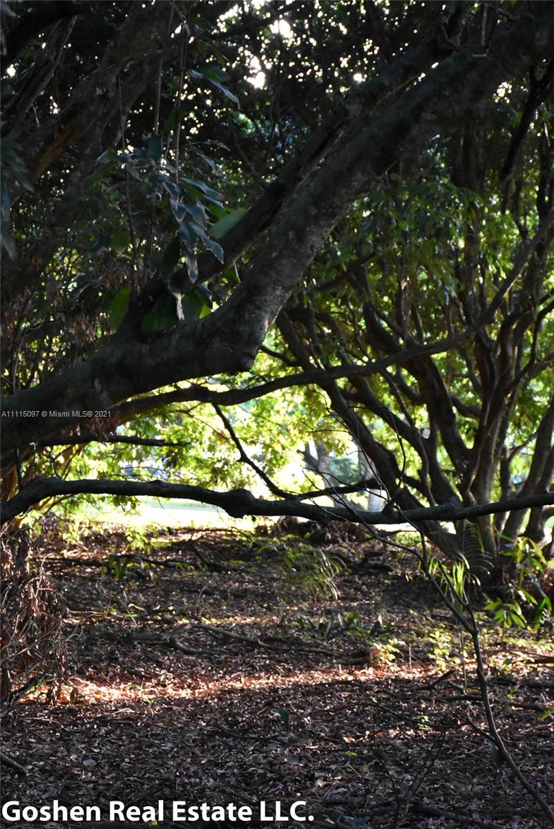 LYCHEE WOODS PLAT - Land