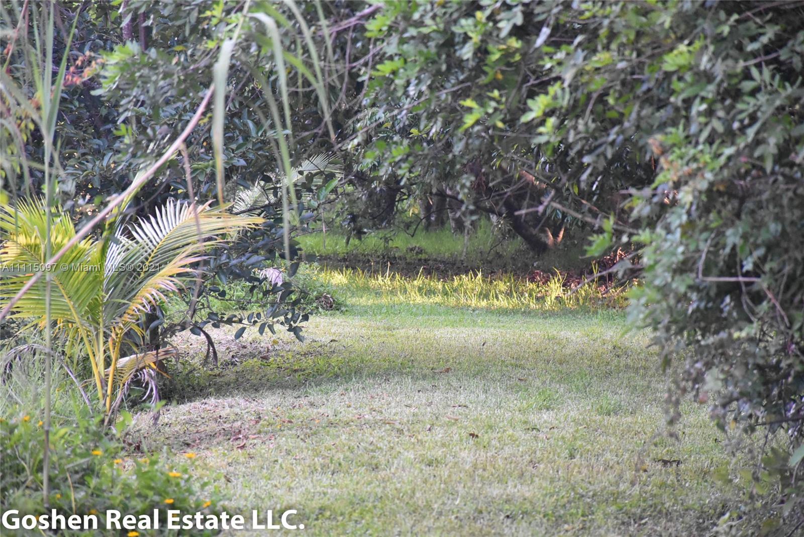 LYCHEE WOODS PLAT - Land