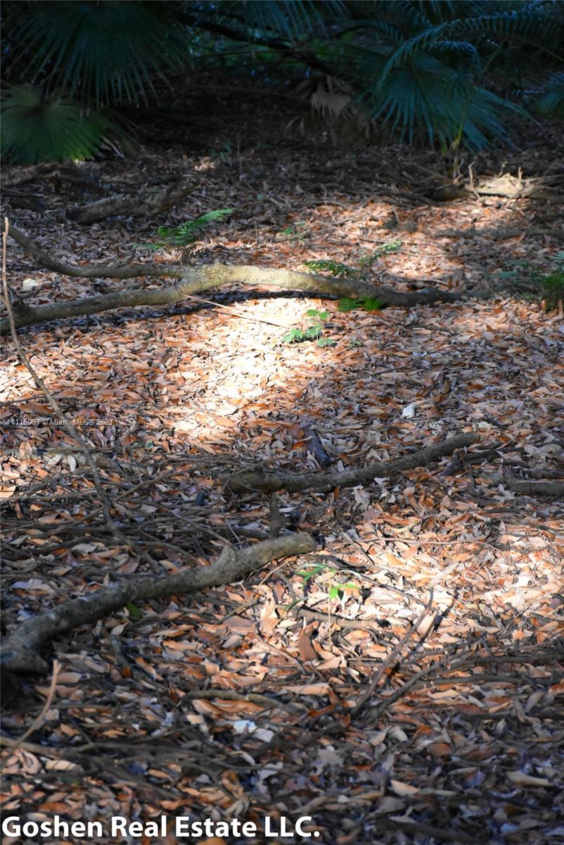 LYCHEE WOODS PLAT - Land