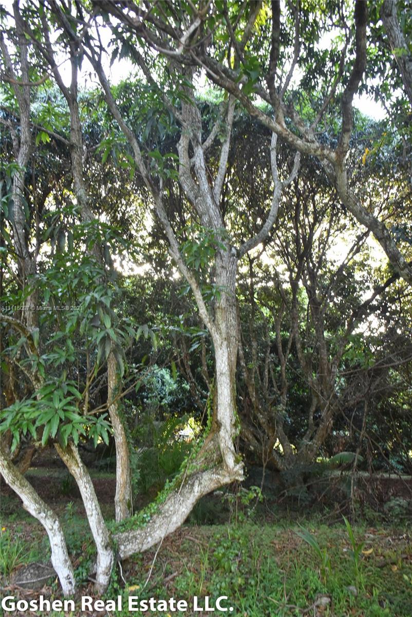 LYCHEE WOODS PLAT - Land