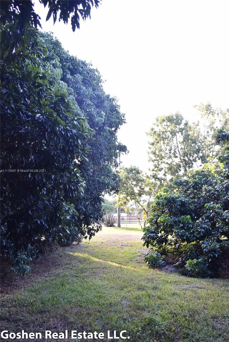 LYCHEE WOODS PLAT - Land