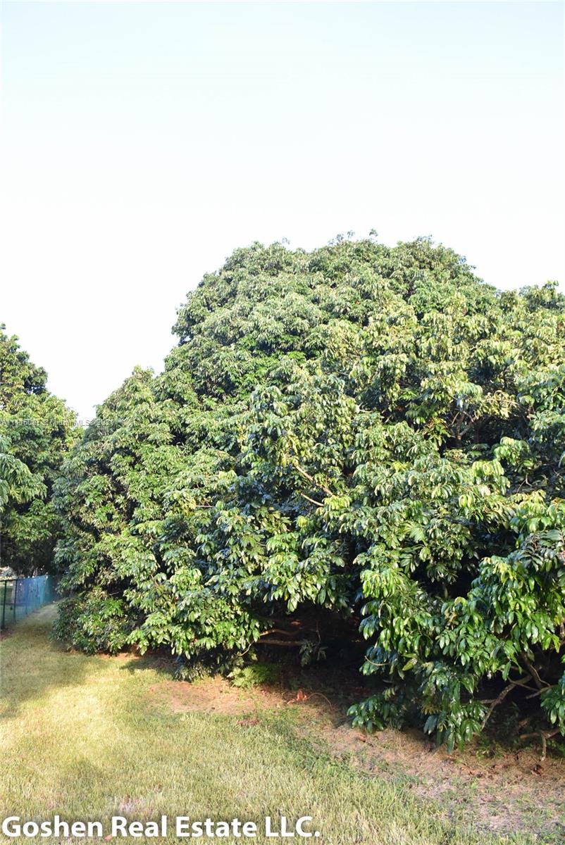 LYCHEE WOODS PLAT - Land