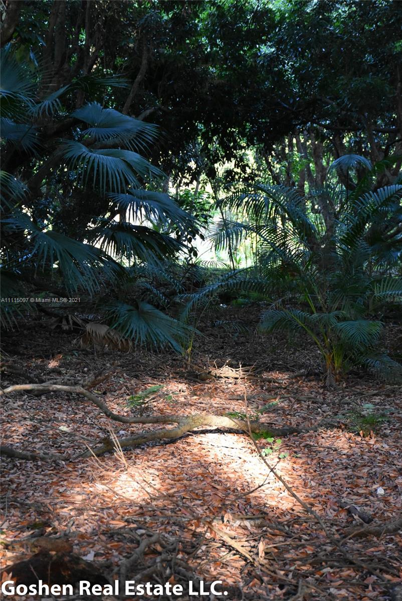 LYCHEE WOODS PLAT - Land
