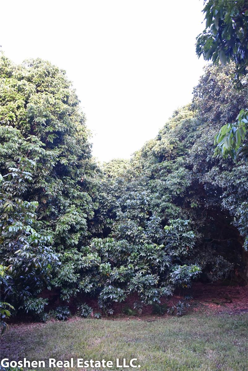 LYCHEE WOODS PLAT - Land